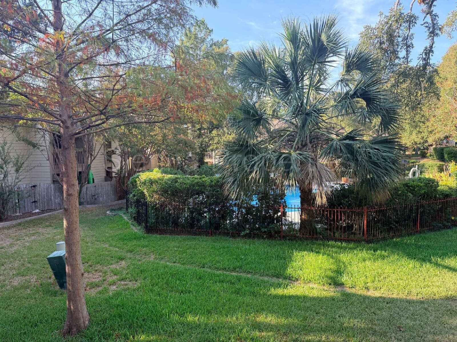 78704....Great Location ...Great Price! property image
